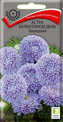 astra_valentinov_den_lavandovaya