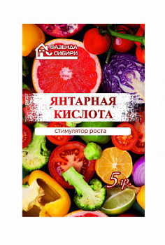 Янтарная 5