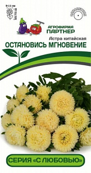 астра остановись мгновение