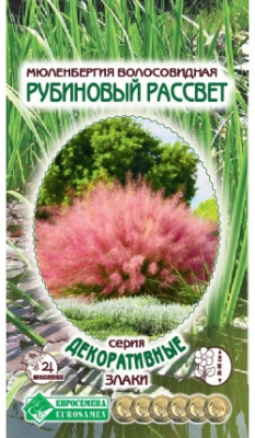 Мюленбергия Рубиновый Рассвет