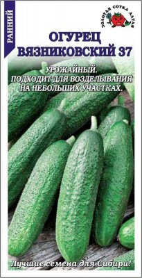 Огурец Вязниковский