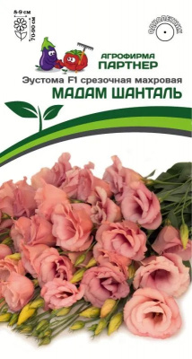 Эустома мадам шанталь