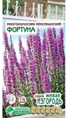 Многоколосник Фортуна