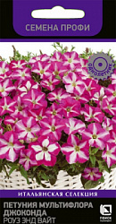 petunia_multiflora_joconda_rouz_and_white