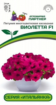 Петуния виолетта