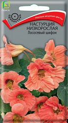 Настурция низкорослая Лососевый шифон