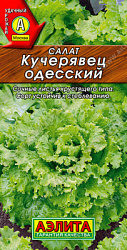 Салат кучерявец одесский