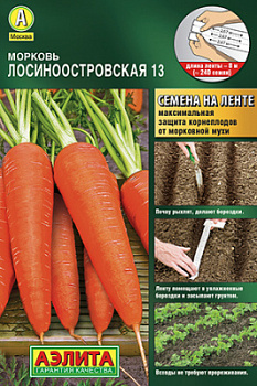 Морковь Лосиноостровская 13_Л