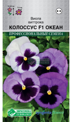 Виола Колоссус Океан