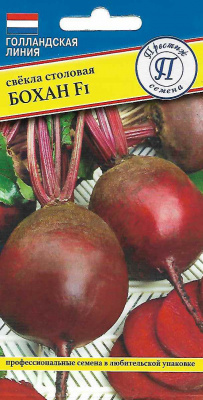 svekla_bohan