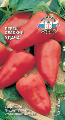 perets_udacha
