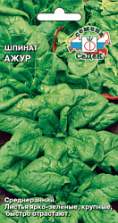 shpinat_azhur