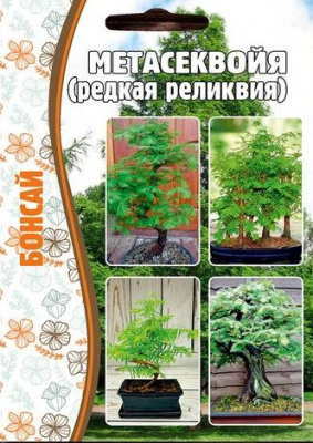 Метасеквойя