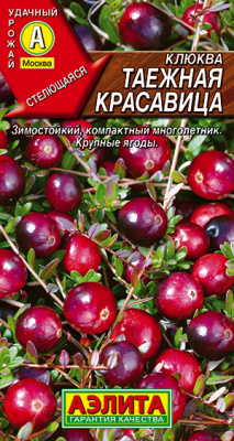 Клюква крупноплодная Таежная красавица_ЦП