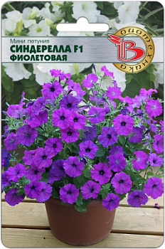 Петуния Синдерелла фиолетовая