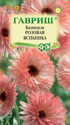 Календула Розовая вспышка