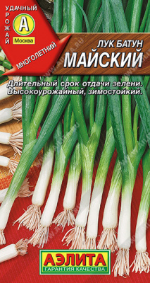 Лук Майский