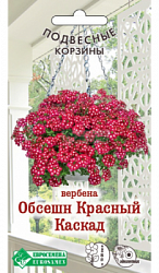 Вербена Обсешн Красный Каскад