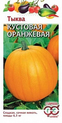 Тыква Кустовая оранжевая