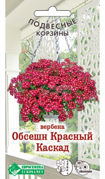 Вербена Обсешн Красный Каскад