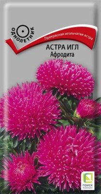 astra_igl_afrodita