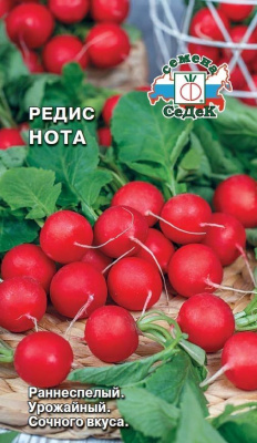 Редис нота