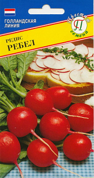 Редис Ребел