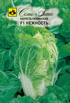 kapusta_pekinskaya_nezhnost (1)