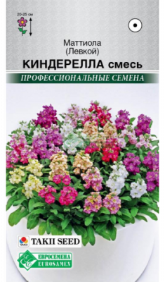 Маттиола Киндерелла