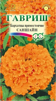 Саншайн