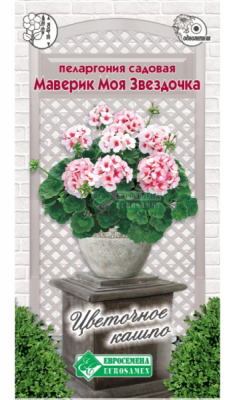 Пеларгония МАВЕРИК МОЯ ЗВЕЗДОЧКА