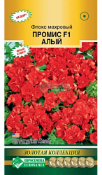Флокс Промис Алый