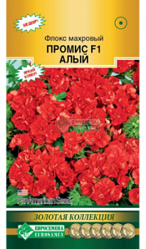 Флокс Промис Алый