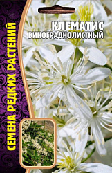 Клематис виноградный