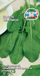 shchavel_chempion