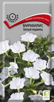 mirabilis_bely_ledenec