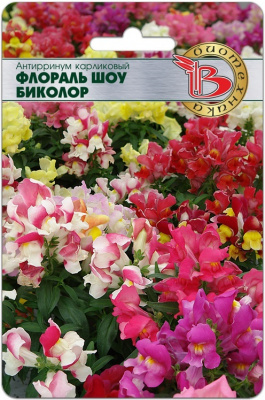 Львин зев флораль шоу биколор