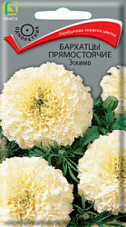 barhatsy_pryamost_eskimo