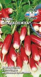 Редис сладкоежка