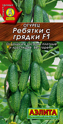 Огурец Ребятки с грядки F1_ЦП