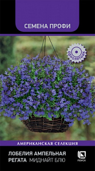 lobelia_ampelnaya_regata_midnight_blue