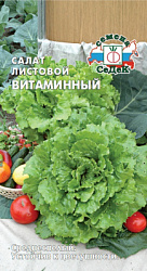 salat_vitaminnyy 1