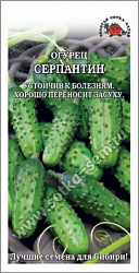 MP6T7GzBkGLW5CG6qhft
