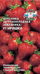 zemlyanika_irishka_f1