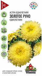 Астра Золотое руно