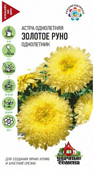 Астра Золотое руно