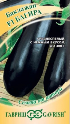 Баклажан Багира