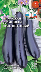 baklazhan_dlinnyy_fioletovyy