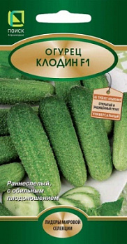 Огурец Клодин
