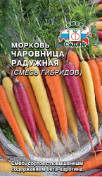 morkov_charovnitsa_raduzhnaya_smes_gibridov